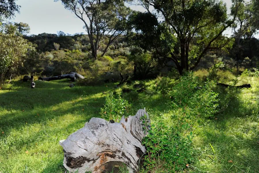 Final embrace funerals traditional burials seymour